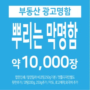 뿌리는막명함-부동산명함 공인중개사명함 약1만장